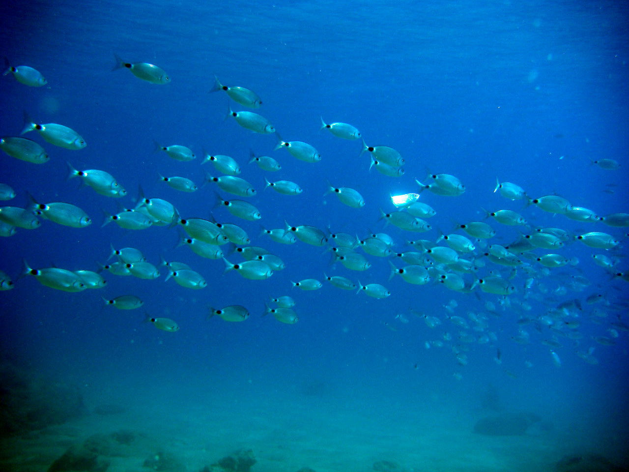 H2O Scuba Diving Center in Rhodes