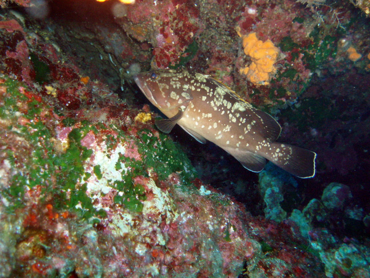 H2O Scuba Diving Center in Rhodes