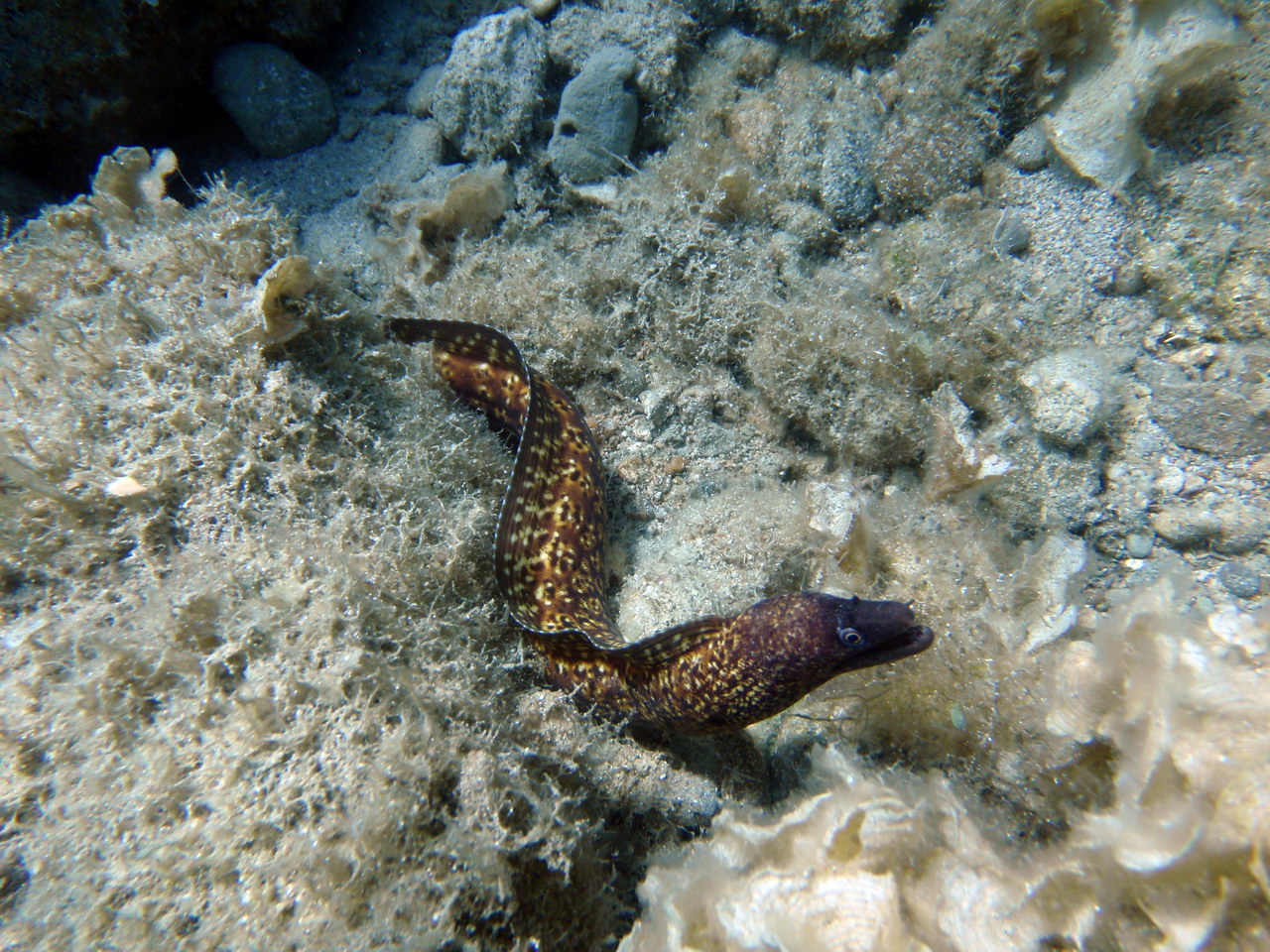 H2O Scuba Diving Center in Rhodes