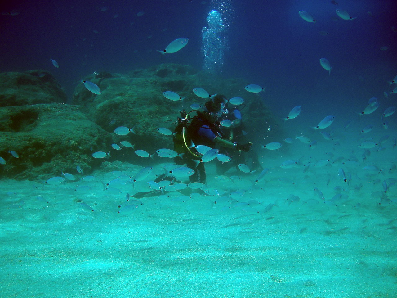 H2O Scuba Diving Center in Rhodes