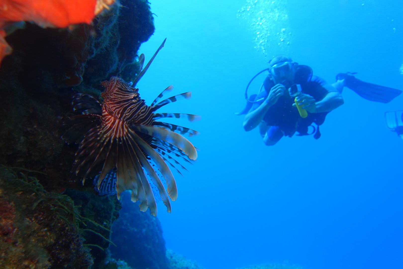 H2O Scuba Diving Center in Rhodes