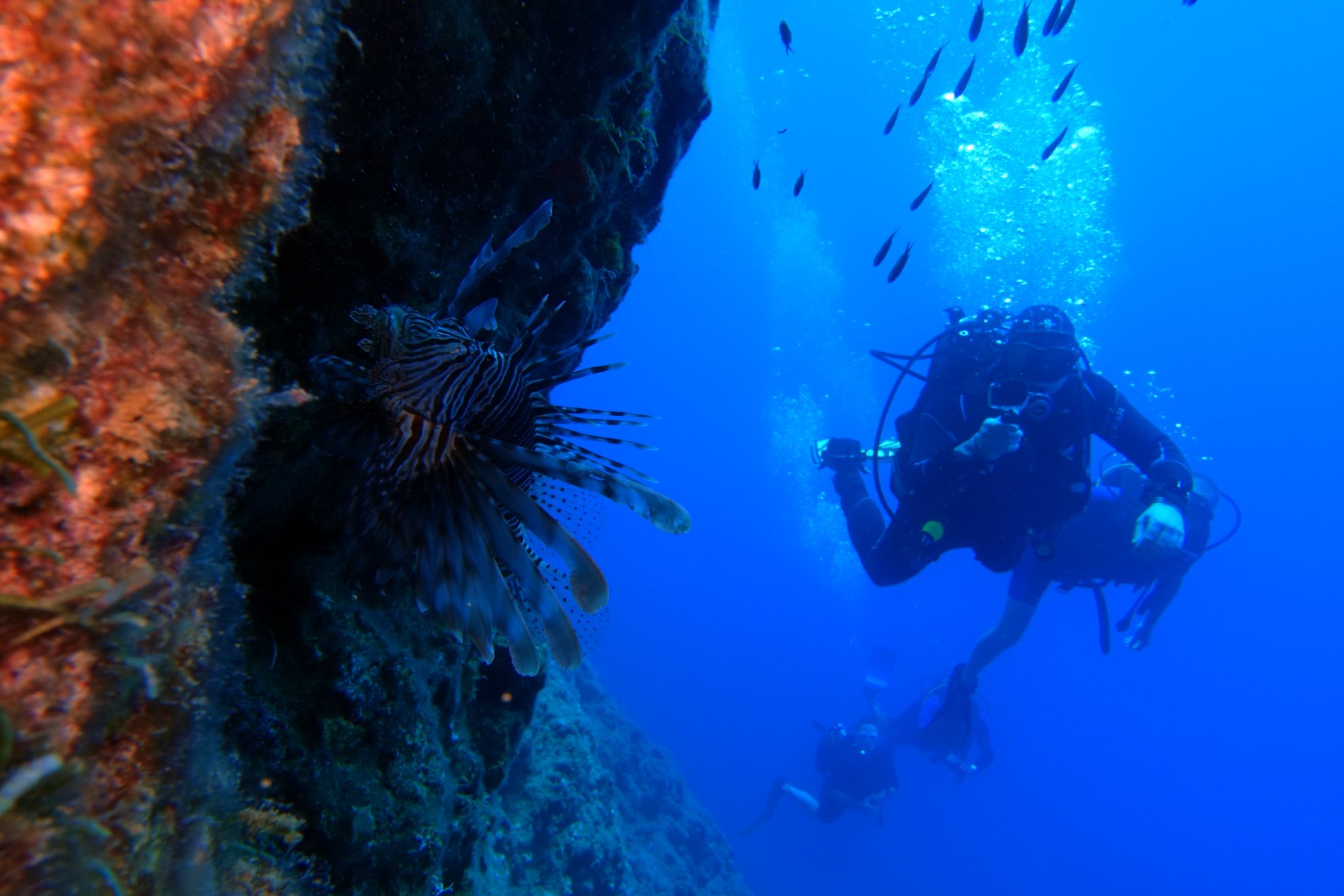 H2O Scuba Diving Center in Rhodes