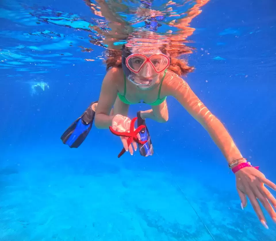 Hands off Marine Life