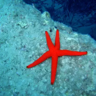H2O Scuba Diving Center in Rhodes