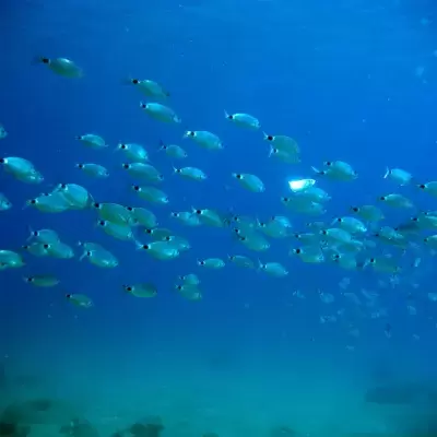 H2O Scuba Diving Center in Rhodes