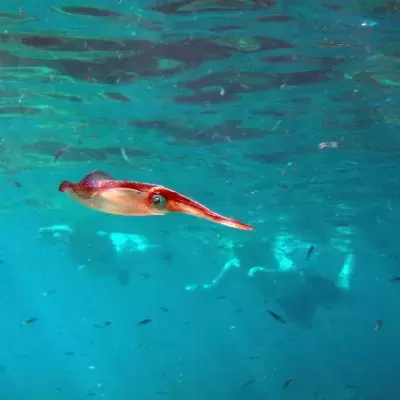 H2O Scuba Diving Center in Rhodes