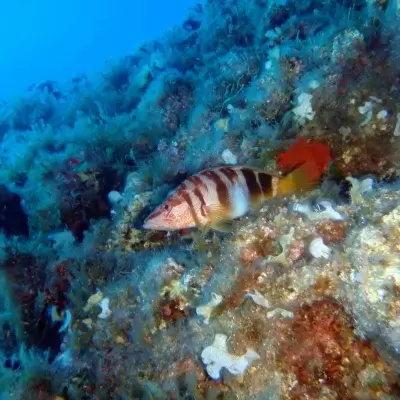 H2O Scuba Diving Center in Rhodes