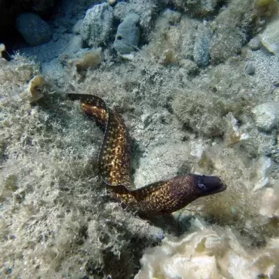 H2O Scuba Diving Center in Rhodes