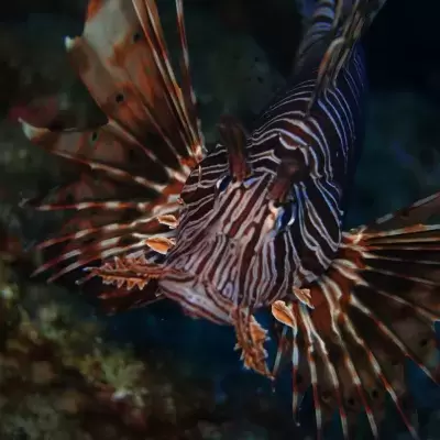 H2O Scuba Diving Center in Rhodes