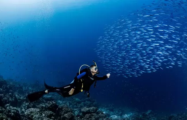 Start your Scuba Diving Adventure with H2O